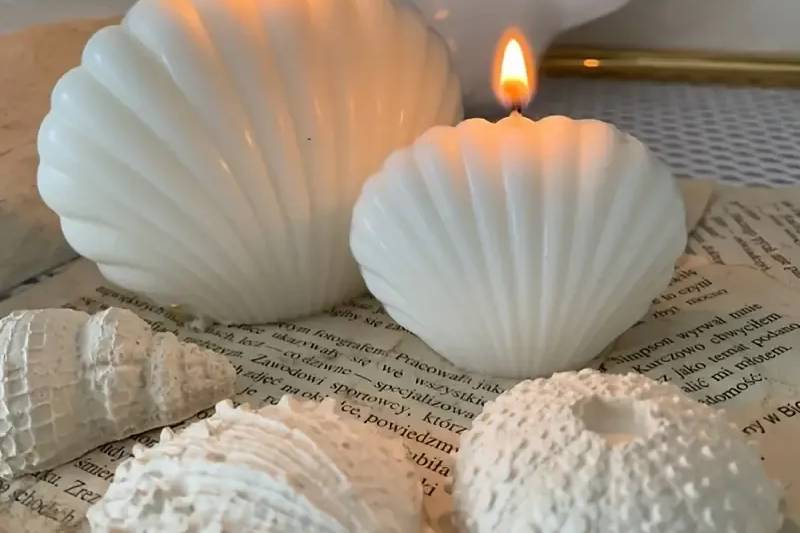 Candela conchiglia di mare