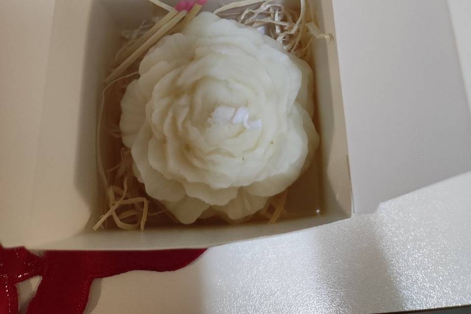 Peonia