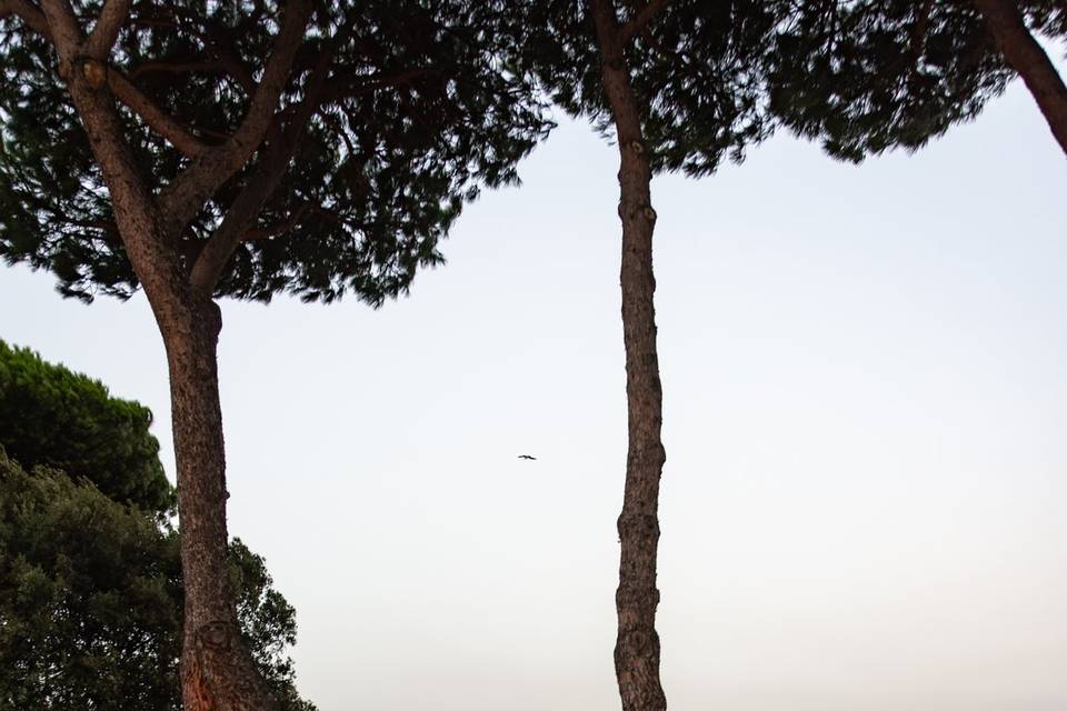 Aperitivo con vista
