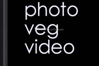 Veg video logo