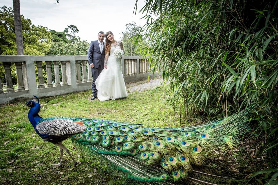 Marzia Wedding Fotografa