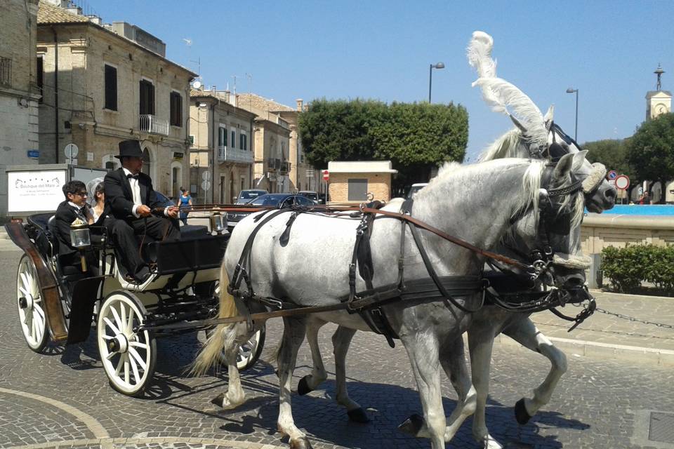 Carrozza con 2 cavalli