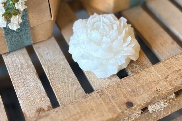 Candela peonia