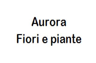 Aurora fiori e piante logo