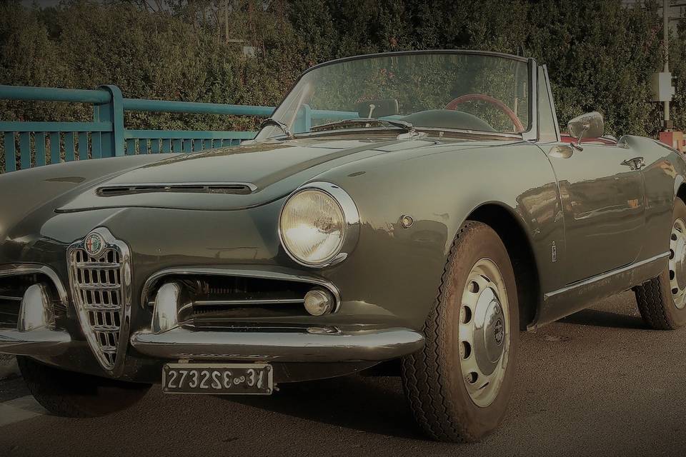 Giulia Spider alfa