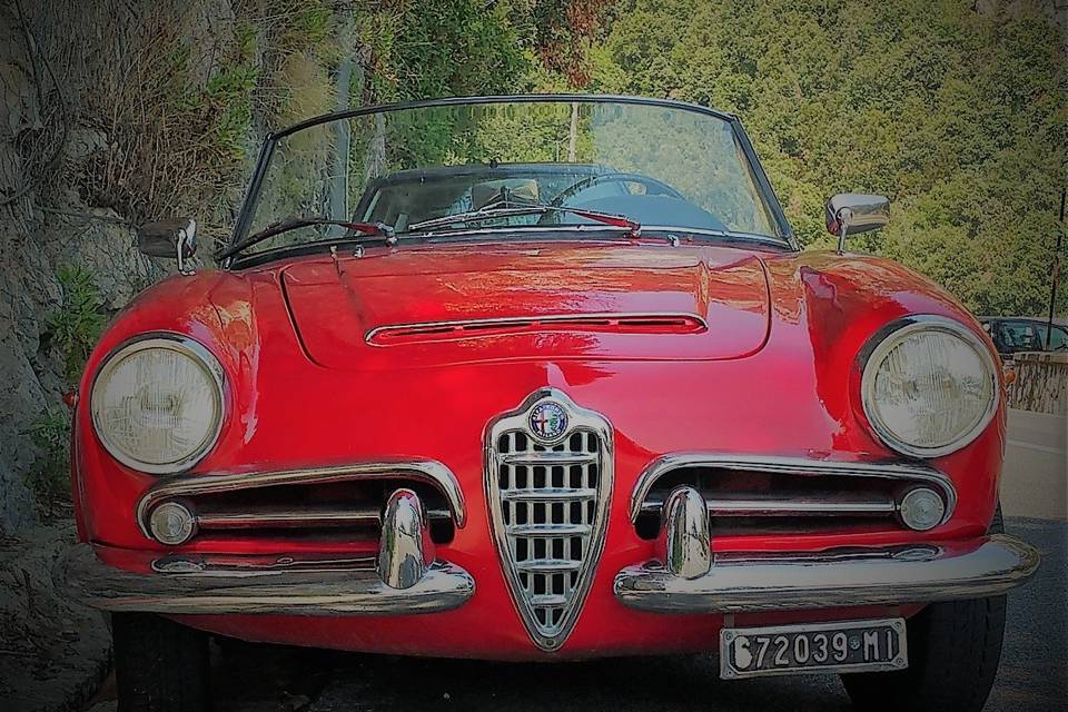 Giulia Spider alfa