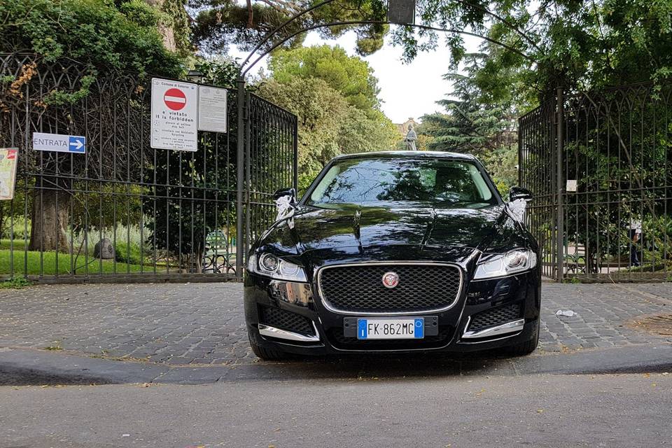 Jaguar xf nera