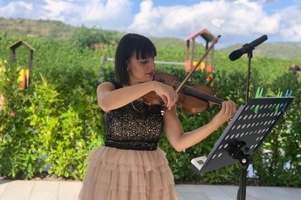 Violinista