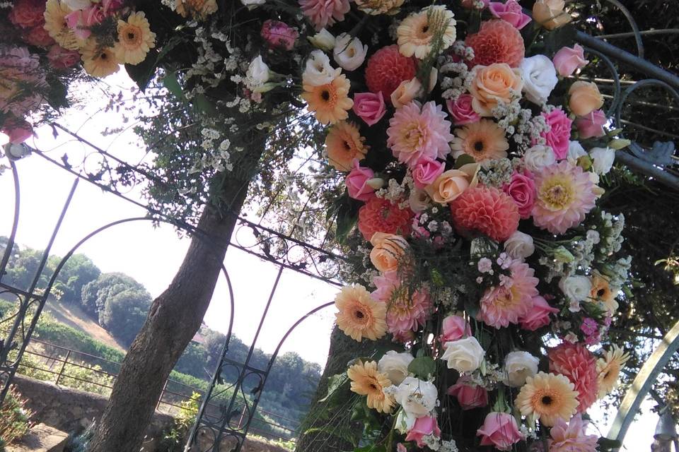 I fiori di d&g