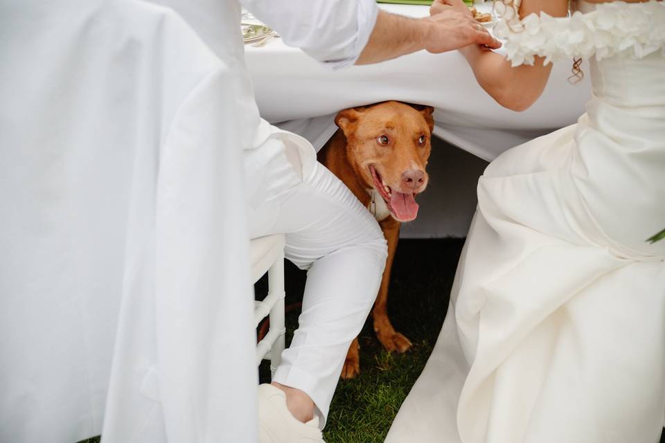Matrimonio