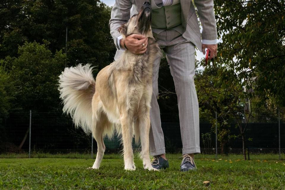 Wedding