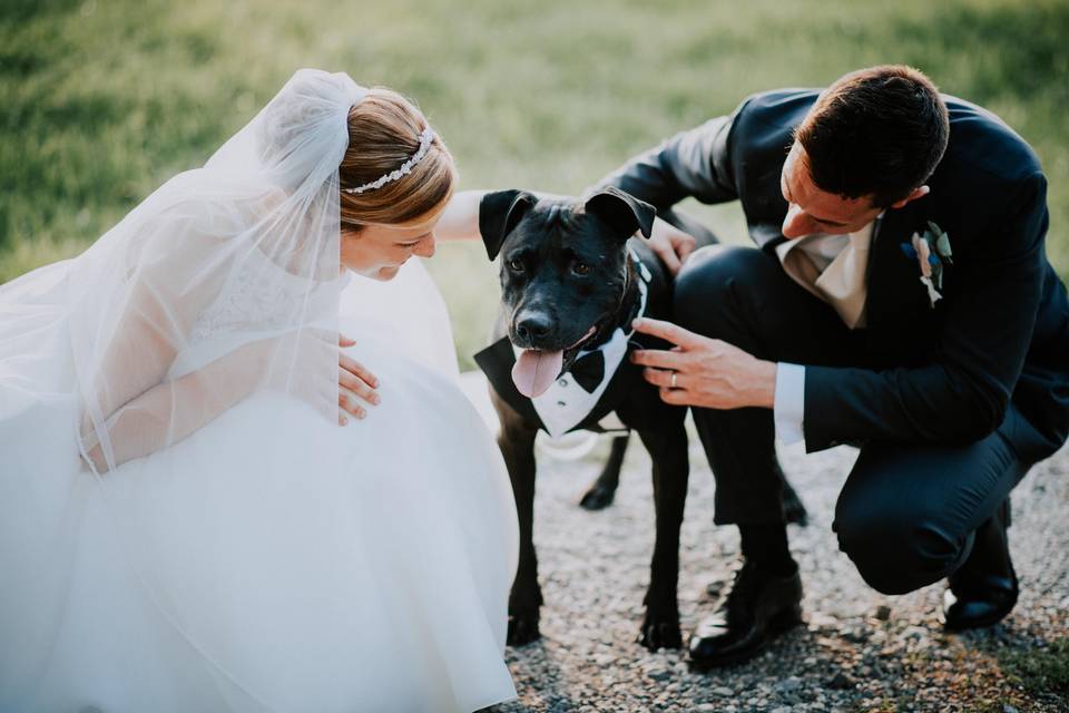 Matrimonio romantico