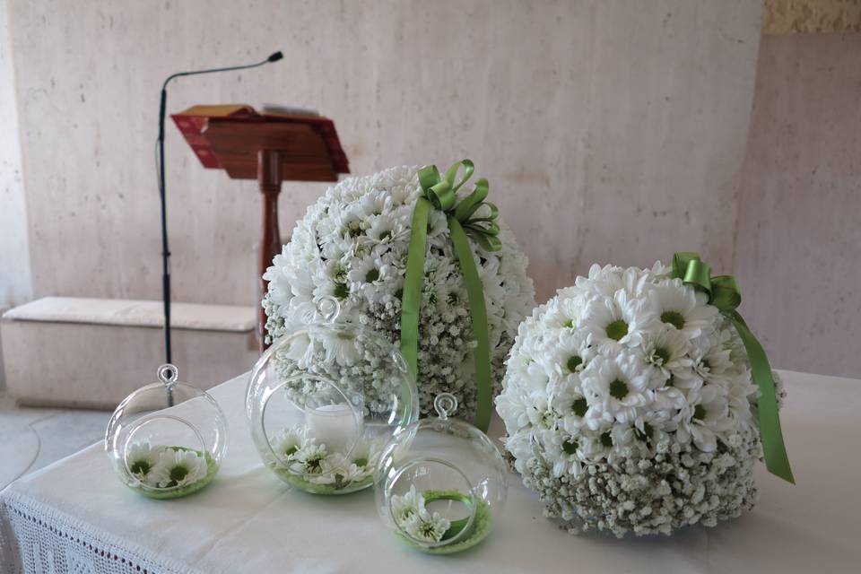 Piante e Fiori di Cristina Sgaragli