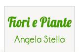 Fiori e Piante Angela Stella logo