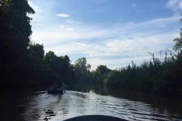 Kinabatangan River