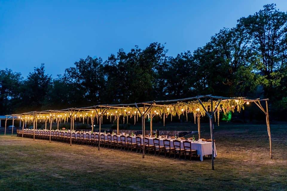 Cena nel bosco