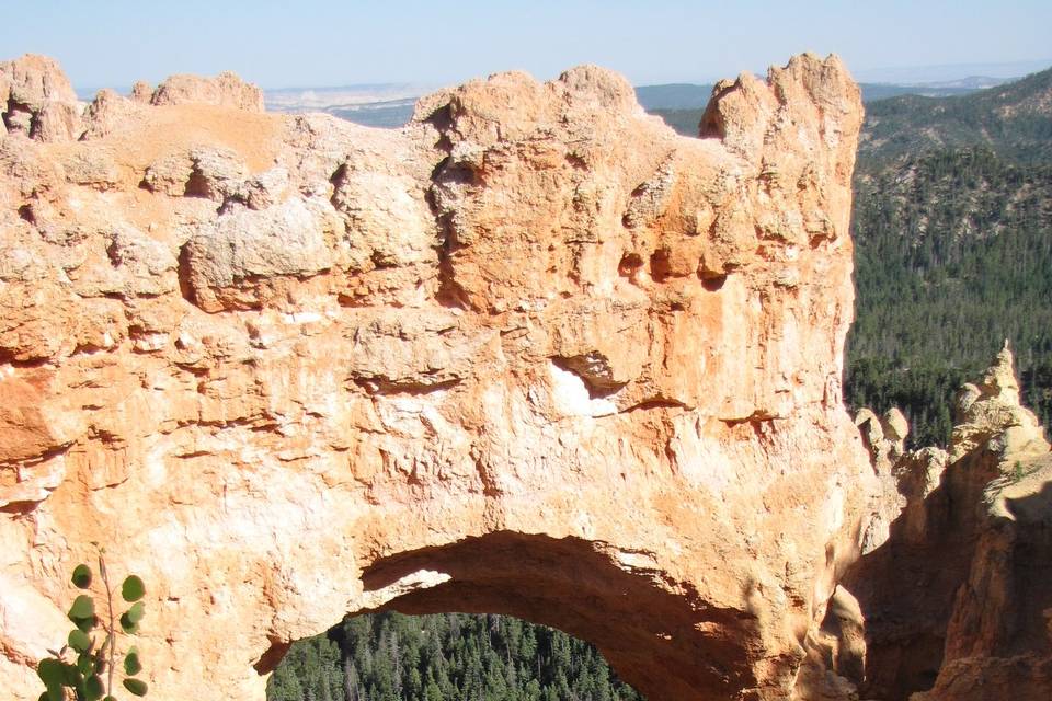 Bryce canyon