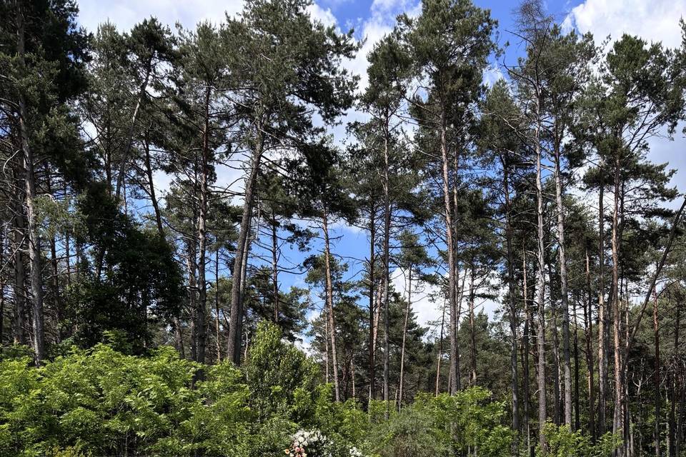 Cerimonia in agriturismo