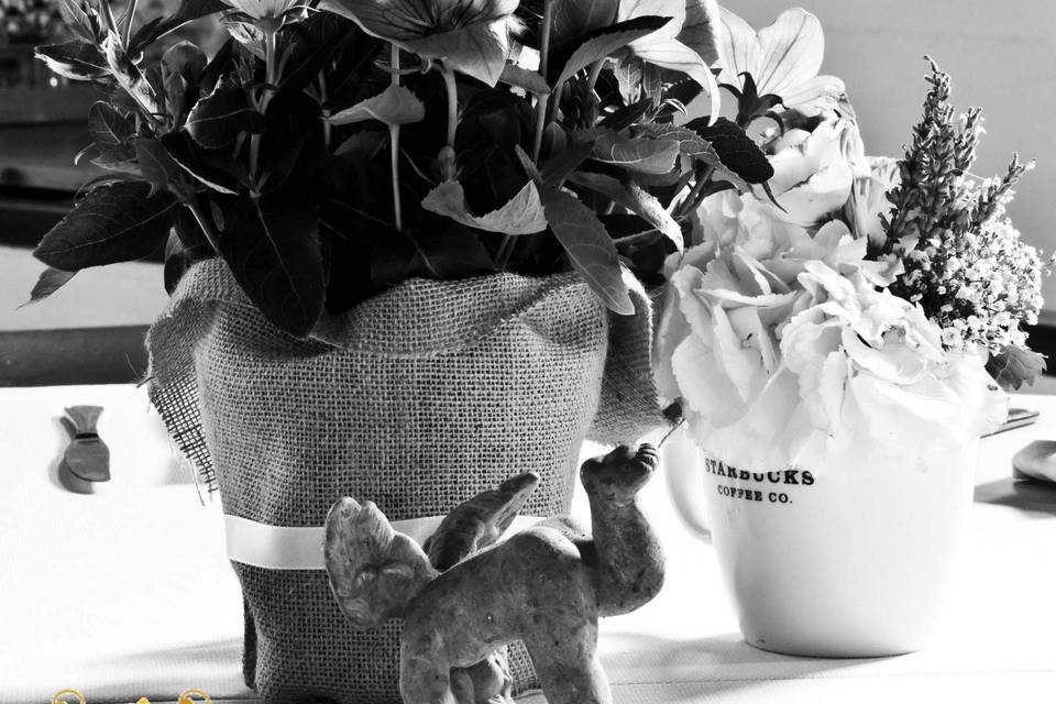 Allestimento  eco-chic