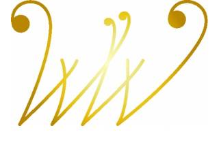 Wonder Wedding logo