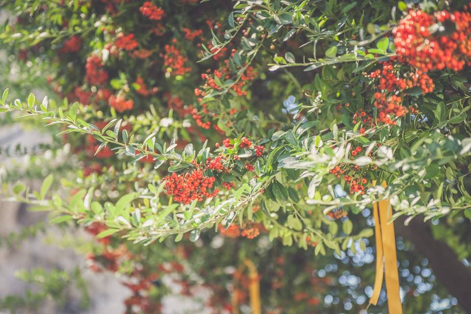 Il Giardino di Serapo