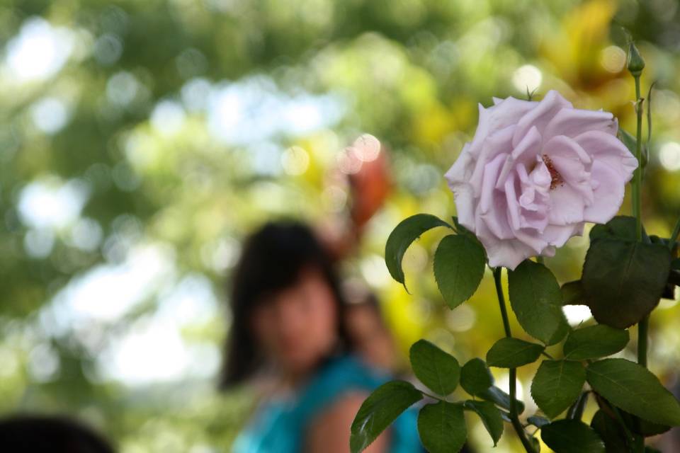 Cerimonia in giardino