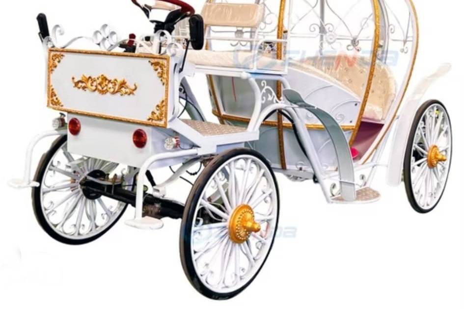 Carrozza cenerentola elettrica