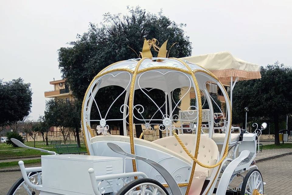 Carrozza cenerentola elettrica