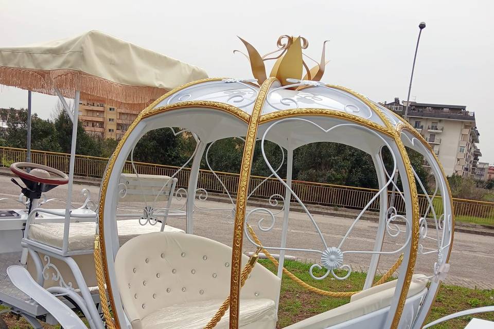 Carrozza cenerentola elettrica