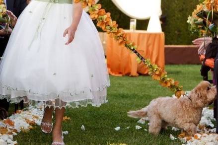 AffidatiAFede Dog Pet Sitter Wedding