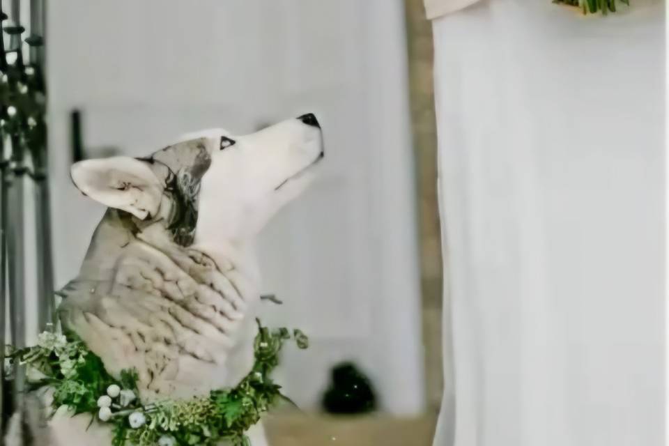 .....