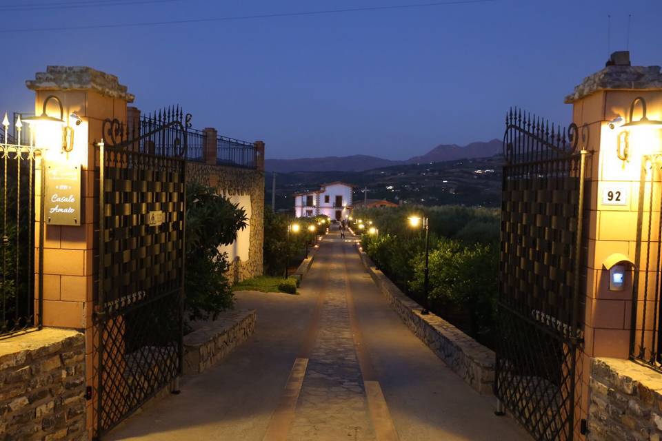 Il viale di casale amato