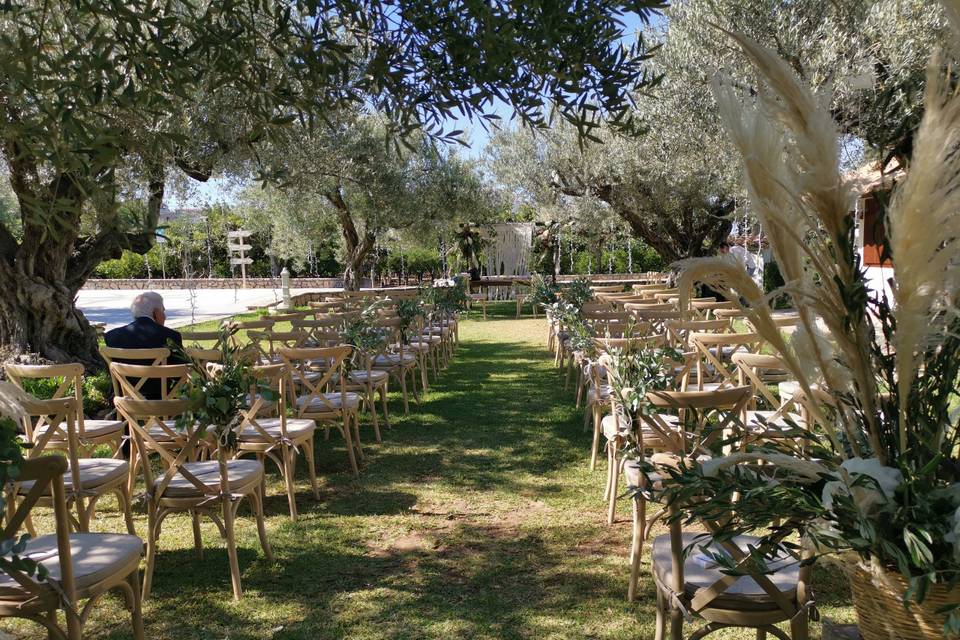 Tra mille lucine e gli alberi