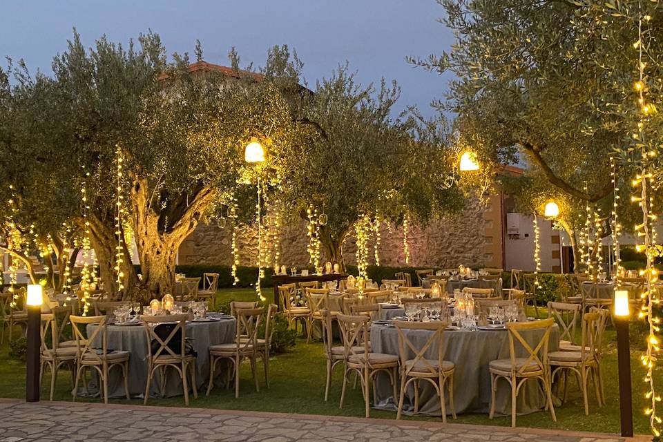 Matrimonio  giardino ulivi