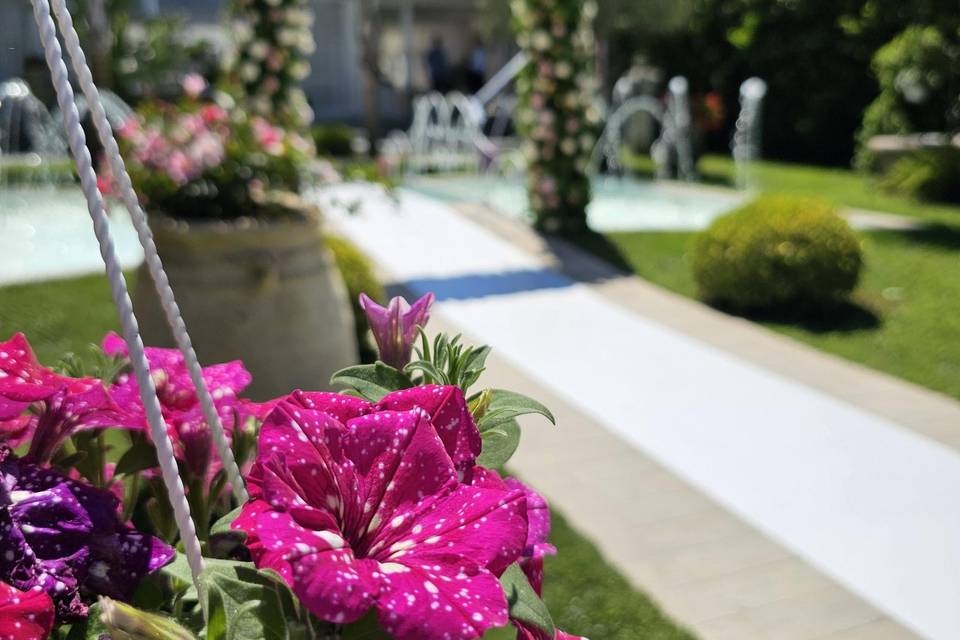 Giardino