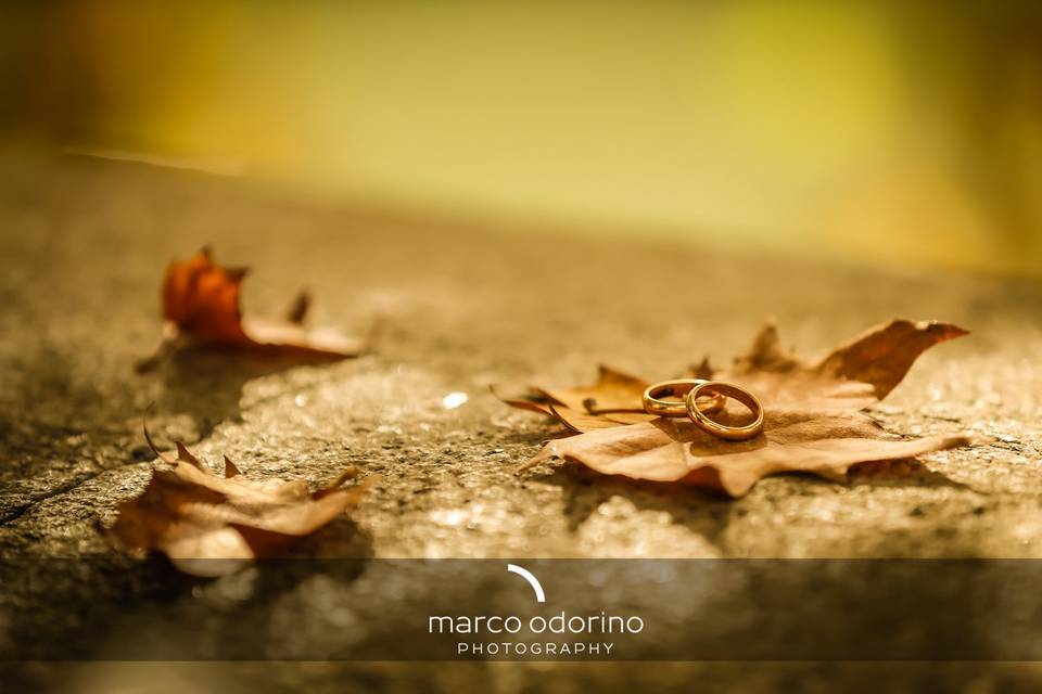 Marco Odorino & Associates Photography