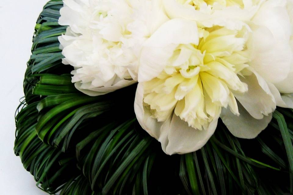 Peonie