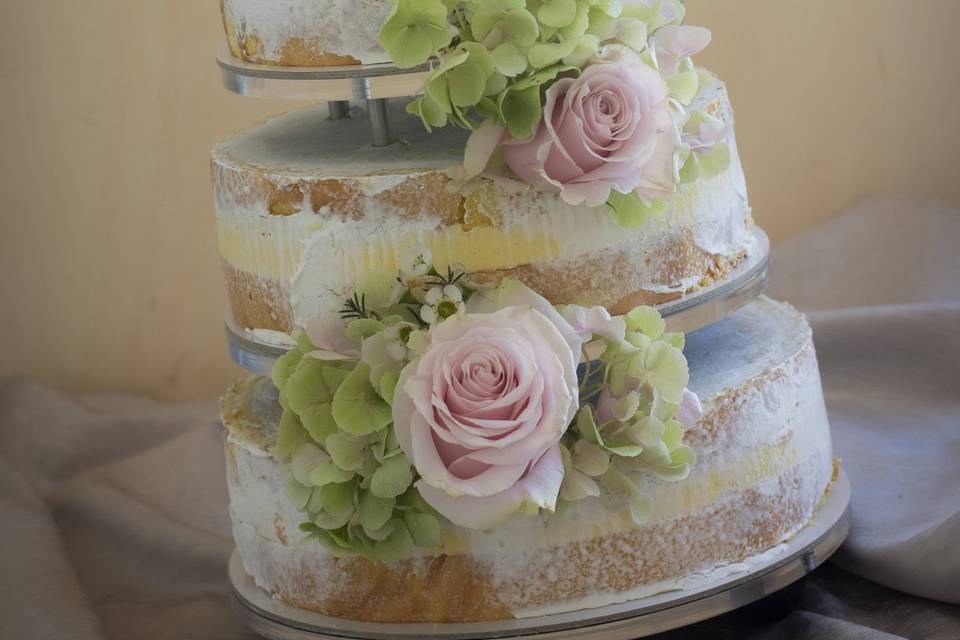 Naked Cake MOderna