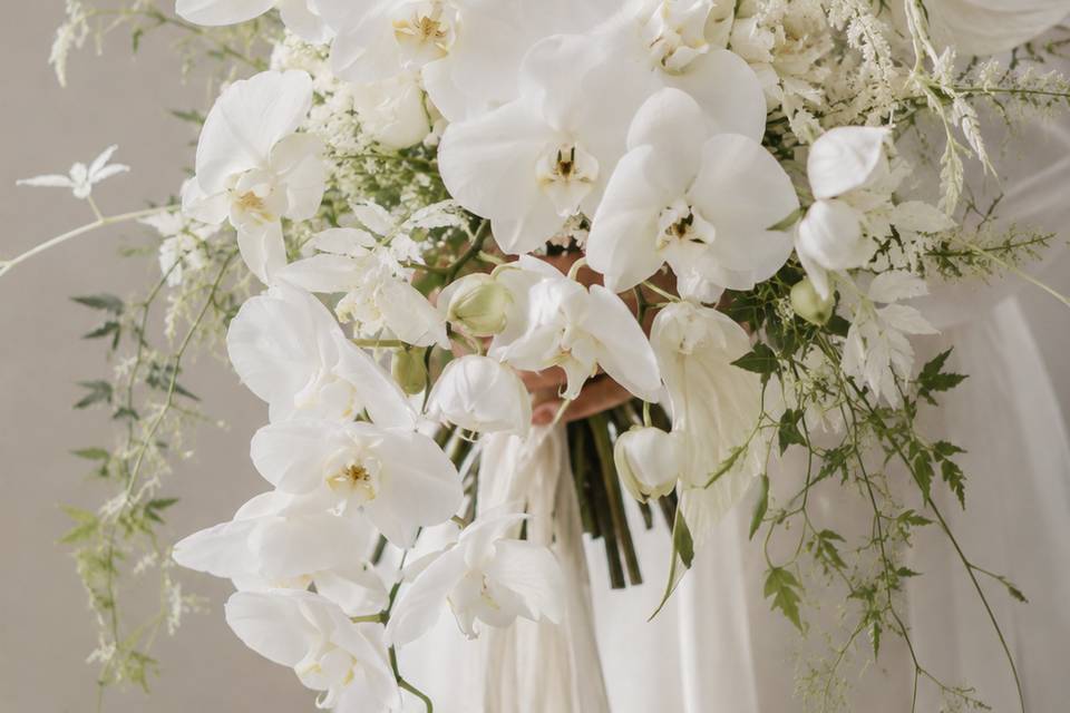 Orchidee✨