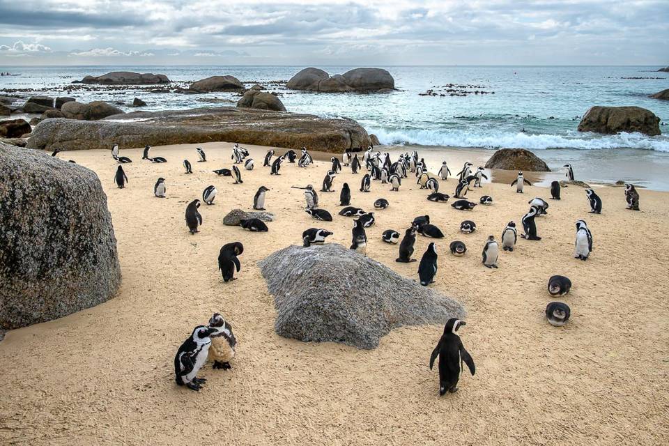 Sudafrica