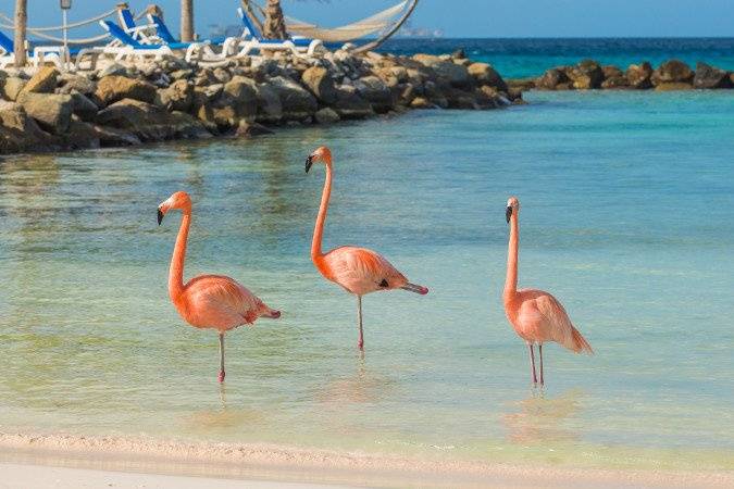 Aruba
