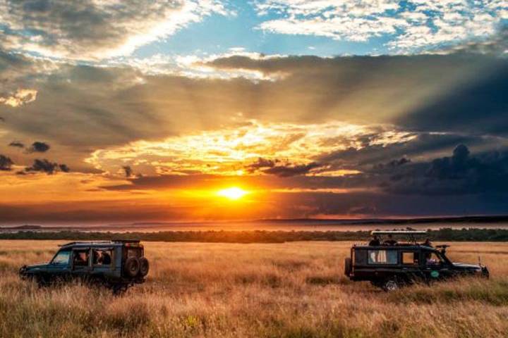 Safari