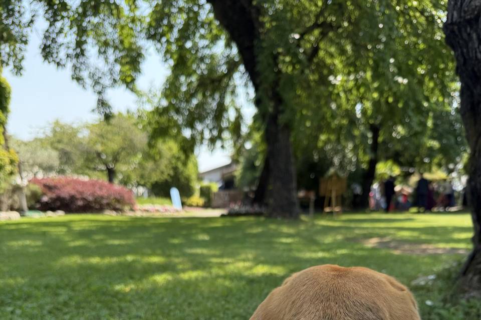 Skye