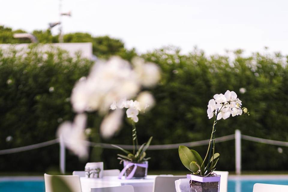 Prestige Beach Restaurant