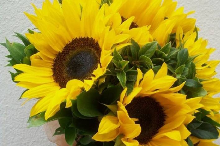 Bouquet girasoli