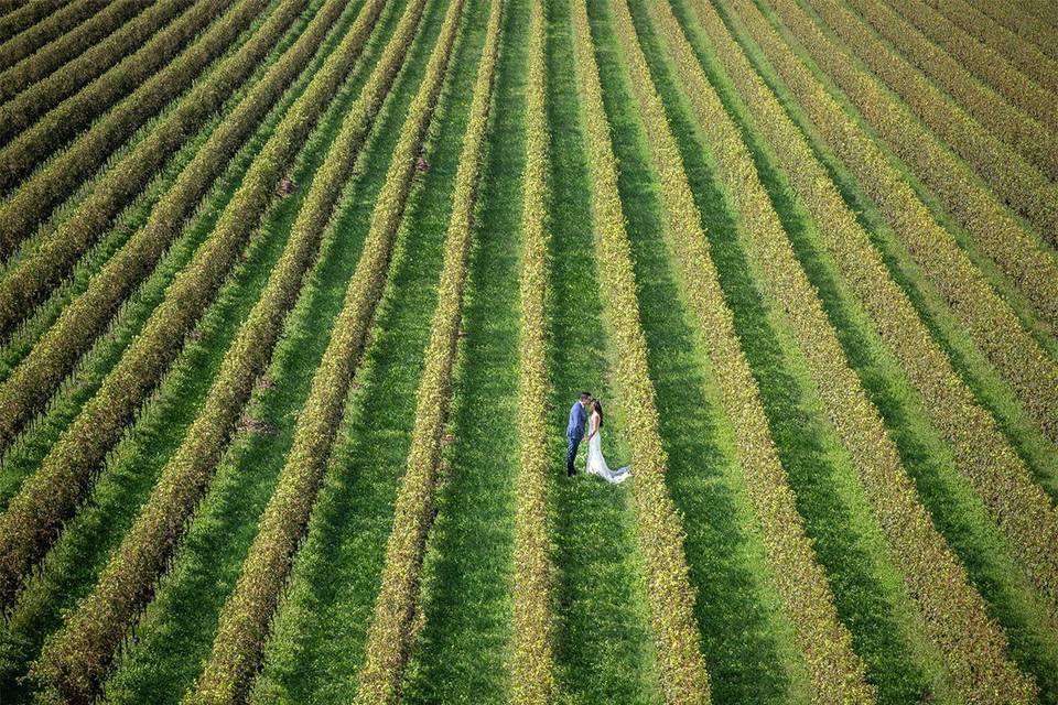 Matrimonio a Verona