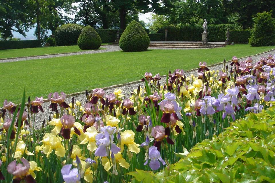 Il giardino in maggio