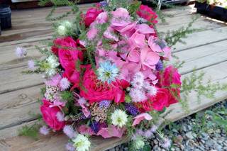 FiorAnna 1