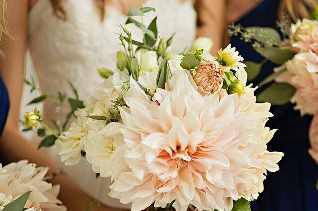 White king protea bouquet