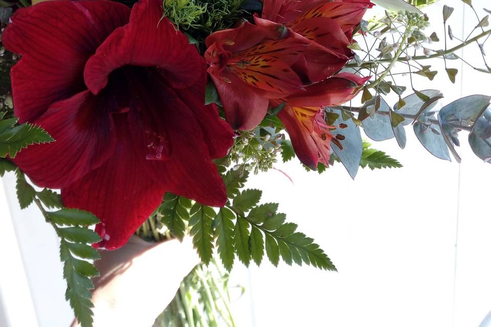 Amaryllis bouquet